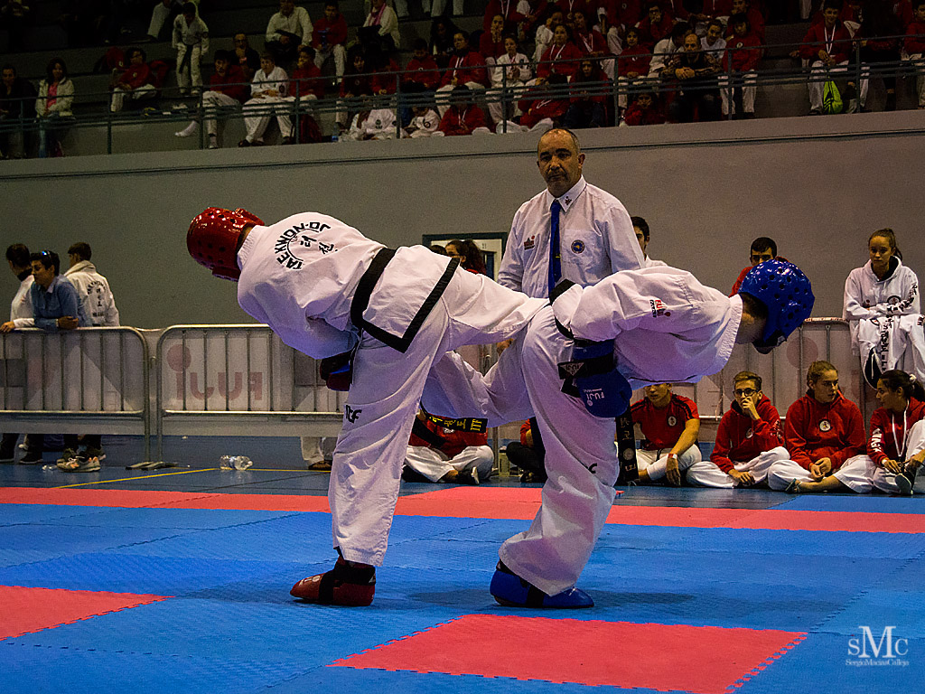 COPA SEUL, 2017  (195).JPG